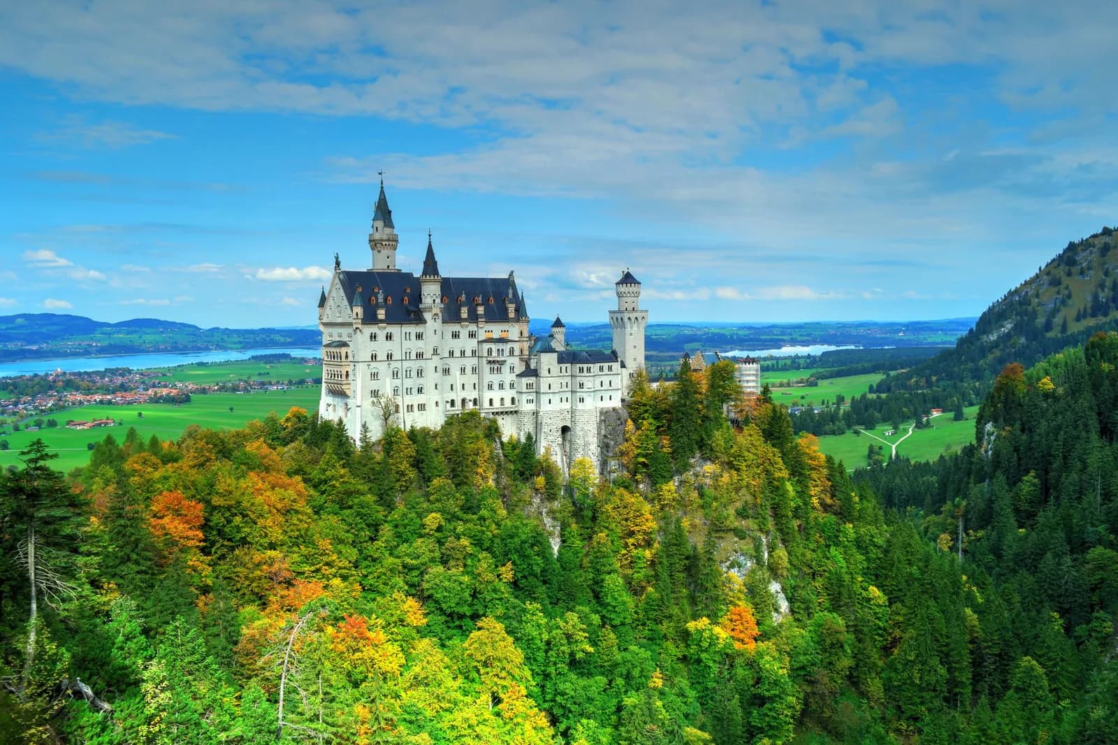 Le château de Neuschwanstein au-dessus des forêts des Alpes bavaroises