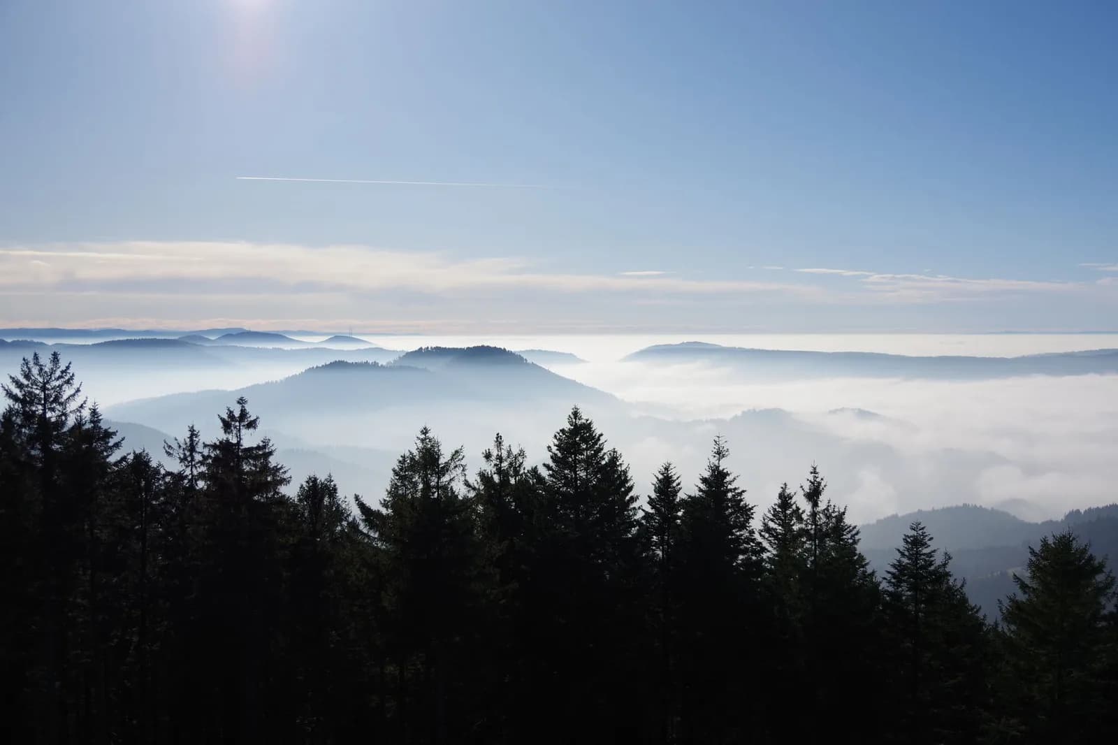 Collines boisées de la Forêt-Noire dans la brume, en Allemagne