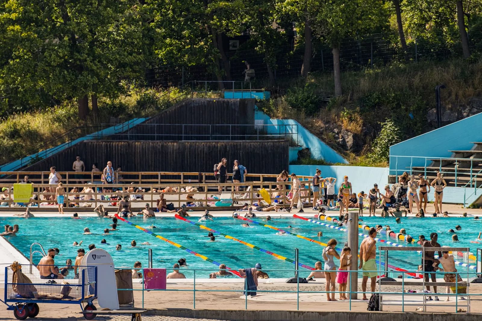 Piscine municipale en plein air l'été, avec couloirs de nage, nombreux baigneurs et gradins entourés d'arbres