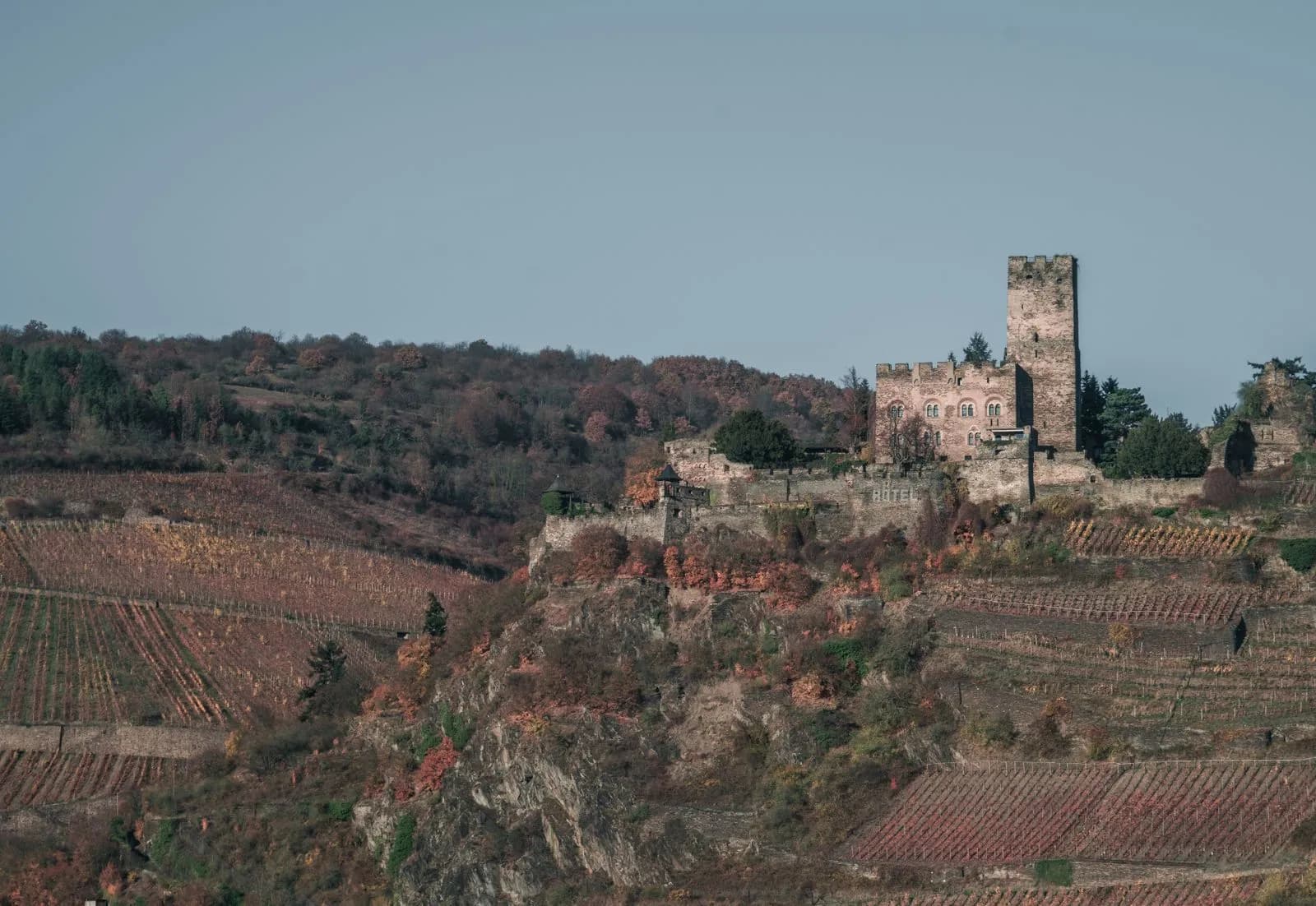 Vignobles et ruines d'un château sur une colline allemande